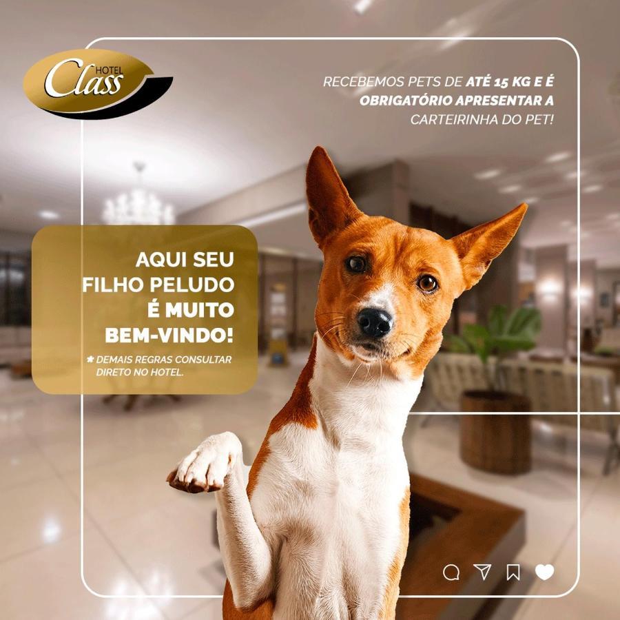 Class Pouso Alegre